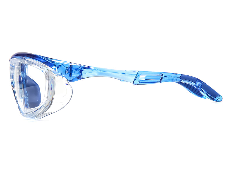 Guardrix Safety Glasses